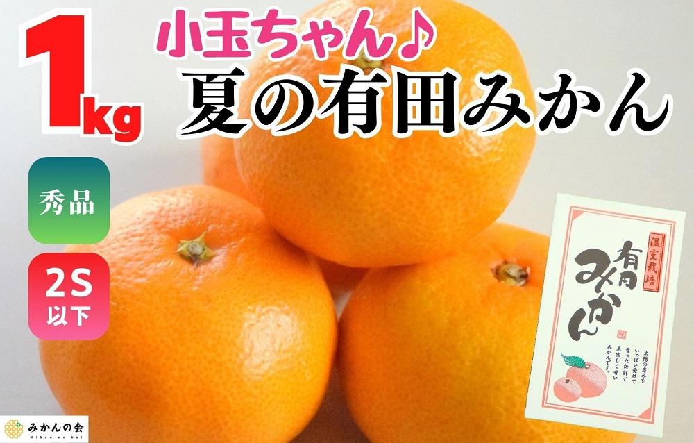 【5月出荷予定】小玉ちゃん ハウスみかん 温室栽培 夏の有田みかん 1kg 秀品 2Sサイズ以下 和歌山県 産地直送 みかんの会 	AX274