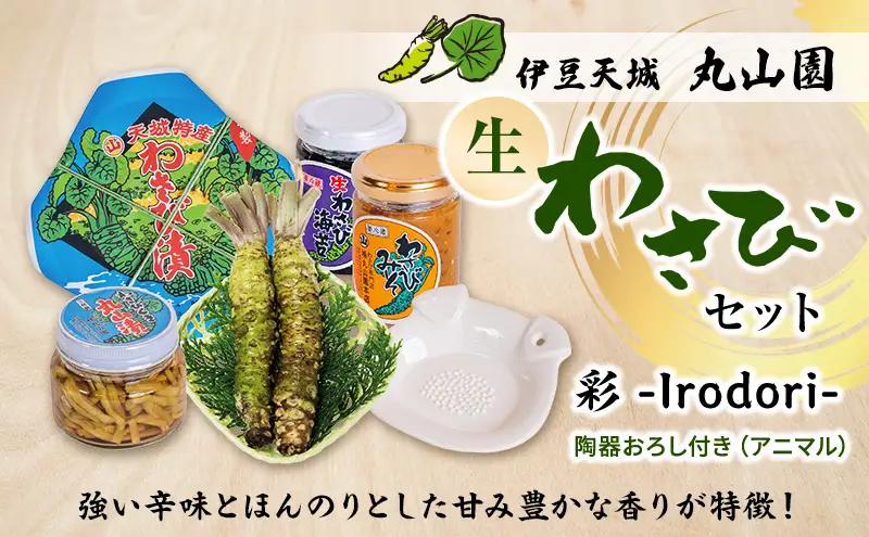 伊豆天城 丸山園 彩 わさび 山葵 ワサビ 伊豆天城