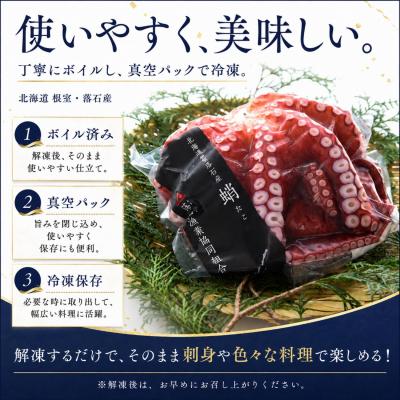 ふるさと納税 根室市 【北海道根室産】柳蛸ボイル8杯(計8.5kg) E-20005 |  | 01