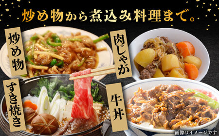 【6回定期便】飛騨牛切り落とし 500g【肉の丸長】 和牛 ブランド牛 国産  [TAZ013]