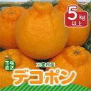 【ふるさと納税】【2025年　先行予約】【配送不可地域：北海道・沖縄県・離島】三豊市産【市場直送　デコポン　5kg以上】 17000円