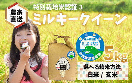 【先行予約】【令和8年産 新米】【農家直送】特別栽培米認証3 ミルキークイーン 5kg×1袋（計5kg） 白米【2026年10月中旬より順次発送】  | お米 ごはん 国産 無農薬 コシヒカリ オーガニック 有機農産物  有機栽培
