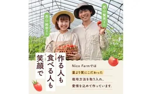 【定期便全6回】無添加 完熟ミニトマト使用 NicoFarm トマトジュース 180ml×5本×6回_Y124-0043
