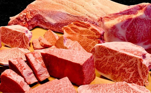 三ツ星若狭牛 五味焼のお食事ご利用券21,000円分【お食事券 テイクアウト 焼肉 三ツ星 若狭牛 ブランド牛 和牛 厳選  A-5 等級 ランク 精肉 チケット】 [BFCN003]