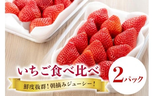 【 2026年 先行予約 】いちご 旬の苺 食べ比べセット 2p Rafすとろべりーふぁーむ イチゴ 苺 2パック 国産 果物 フルーツ くだもの 1月 2月 3月 発送 冬 旬 産地直送 農家直送 産直 甘い デザート スイーツ 家庭用 贈答 贈答用 茨城 茨城県 石岡市 (A27-003)
