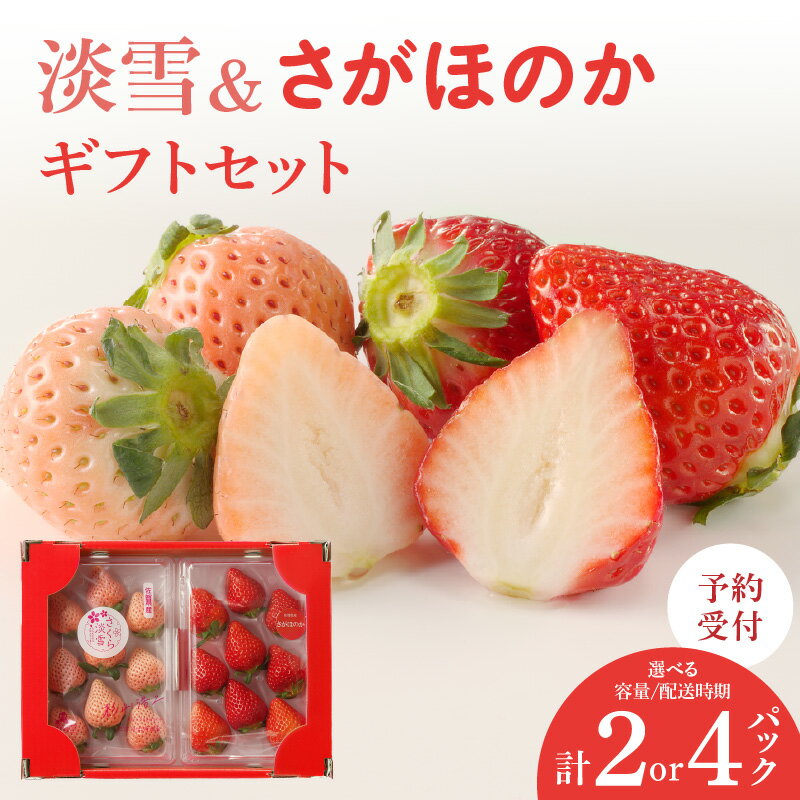 【ふるさと納税】【容量・配送時期が選べる】★予約受付★杉山いちご農園「淡雪（白いちご）」「さがほのか」ギフトセット 12月〜5月中に順次配送／さがほのか 白いちご あわゆき 苺 いちご 希少 果物 くだもの フルーツ 旬 食べ比べ セット ＼レビューキャンペーン実施中／