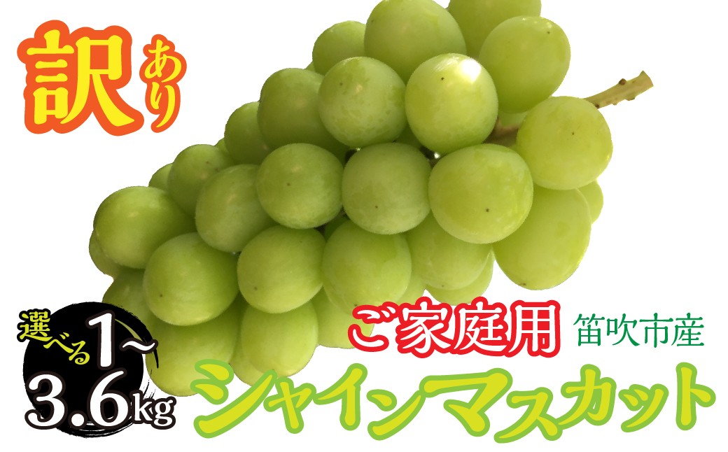
                  【2026年発送★先行予約】 山梨県笛吹市産　わけありシャインマスカット　選べる！約1kg ～ 約3.6kg　263-007-oya
                