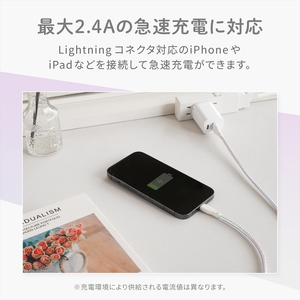 Owltech(オウルテック) きらきら可愛い グラデーションカラー  急速充電2.4A／データ転送対応 Lightningケーブル OWL-CBAUAL10-GD