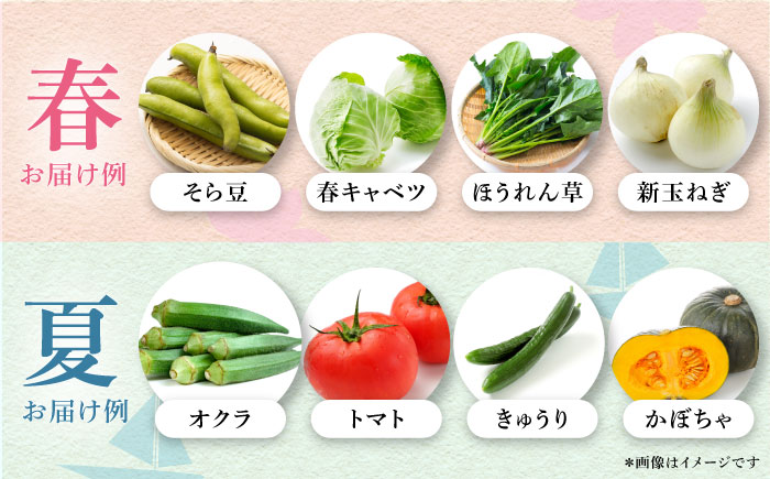 【最短1週間以内発送】すずなり採れたて野菜BOX（5〜7品目）野菜セット 詰め合わせ 季節野菜 やさい 産地直送 旬 新鮮 横須賀【鈴也ファーム】 [AKCE001]