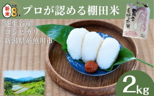 令和8年産新米 新潟県能生谷産コシヒカリ 2kg プロも認める棚田米 農家直送 2026年産 JATs有限会社【新潟県 糸魚川市 米 お米 こめ コメ ご飯 ライス ふるさと納税米 ブランド米 おすすめ ギフト 2キロ 精米 白米 人気 食品】