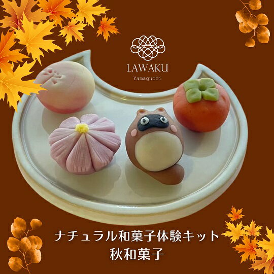 D243【ふるさと納税】ナチュラル和菓子体験キット（ギフトセット）