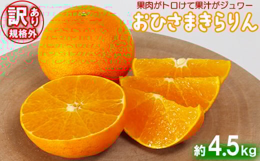 
【訳あり・規格外品】今村農園の「おひさまきらりん 約4.5kg」 先行予約 4.5kg 12月発送 1月発送 わけあり 柑橘類 フルーツ ＜107-017_5＞
