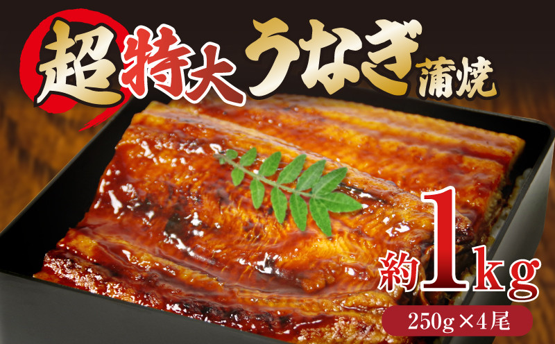 
            うなぎ 蒲焼き 1kg 特大 250g×4尾 タレ付き 冷凍 小分け 特上うなぎ うなぎ 1キロ 料亭 肉厚 ふっくら 香ばしい うなぎ蒲焼き 鰻蒲焼 養殖鰻 養殖うなぎ 温めるだけ 簡単調理 うな重 うな丼 土用 丑の日 ふわふわ パリパリ 手焼き ご飯 米 丼 お歳暮 ギフト プレンゼント 贈答 【 北海道・東北・沖縄・離島への配送不可 】
          