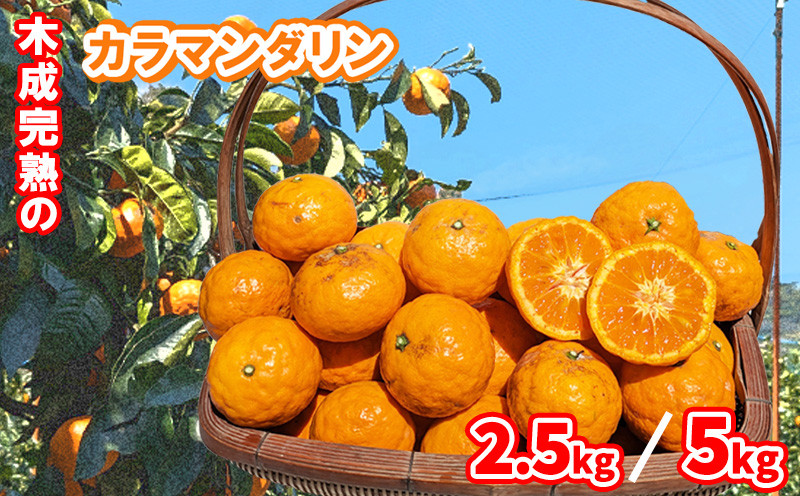 
            【5月から発送】 春 みかん カラマンダリン 家庭用 2.5kg または 5kg｜みかん 蜜柑 旬 わけあり 訳あり 甘い 柑橘 果物 フルーツ 糖度 愛媛 松山
          