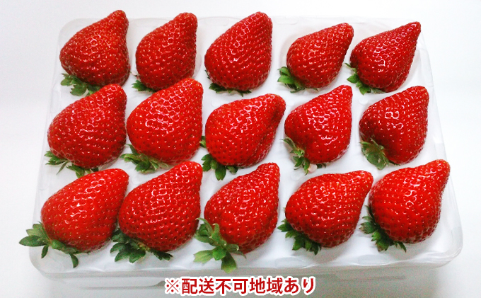 髙井農園 季節のいちご詰合せ 1パック(約12～18個)