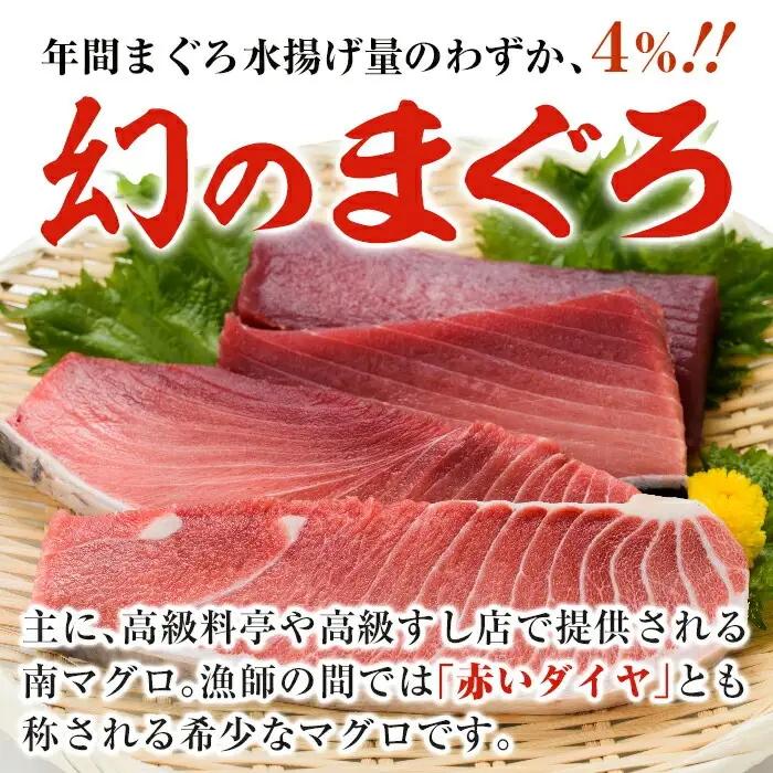 【定期便全12回】天然 南まぐろ 定期便 約19Kg まぐろ【00-019-08-TK】