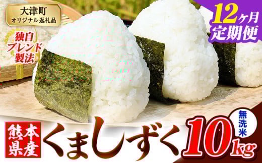 【12ヶ月定期便】無洗米 熊本県産 ブレンド米 くましずく 10kg 熊本県産 ふるさと納税 無洗米 精米 米 こめ ふるさとのうぜい コメ お米 おこめ《申込み翌月から発送》