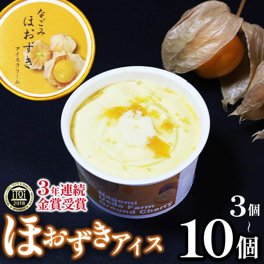 【ふるさと納税】 【 国際味覚コンクール 3年連続金賞受賞 ！ 】プリンセスほおずき使用 なごみほおずきアイスクリーム 選べる 3個 ～ 10個 | 熊本県 和水町 くまもと なごみまち なごみ アイスクリーム アイス スイーツ デザート おやつ ほおずき 果物 野菜 ギフト