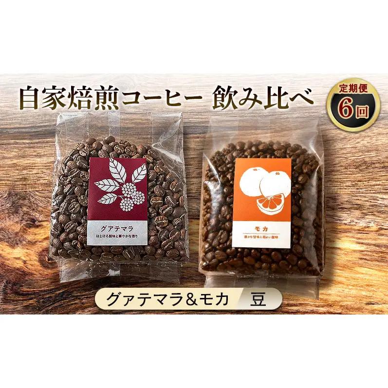 飲み比べセット 自家焙煎コーヒー グァテマラ モカ 飲み比べセット【グァテマラ221g モカ285g】【定期便 6ヶ月】