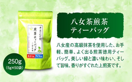 福岡銘茶 八女茶 ティーバッグ付 急須要らずのお手軽セット（便利なチャック付）＜株式会社マル五＞那珂川市 お茶 緑茶  11000 11000円 [GDW031]