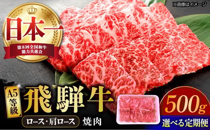 
            【選べる定期便回数】 飛騨牛 焼肉用 ロース・肩ロース 500g (3回/6回/12回) A5等級 和牛 ブランド牛 国産 牛肉 多治見市 / 渡辺精肉店 [TAZ031]
          