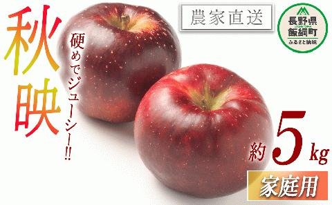 りんご 秋映 家庭用5kg 渡辺農園 沖縄県への配送不可 2024年10月中旬頃～2024年10月下旬頃まで順次発送予定 令和6年度収穫分 エコファーマー 減農薬 長野県 飯綱町 [1020]