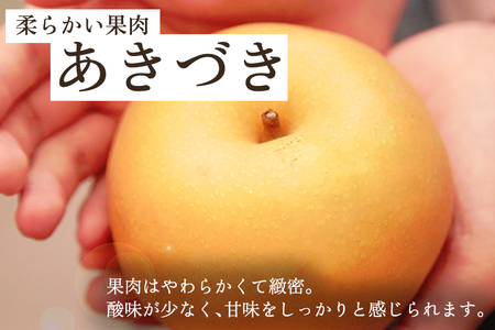 和梨 あきづき 5kg（8～14玉）果物 なし 梨 フルーツ 新鮮 ジューシー 産地 加茂市 樋口農園