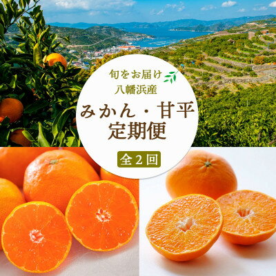 【ふるさと納税】【発送月固定定期便】愛媛みかん5kg×甘平3kg【H25-267】全2回【4071242】