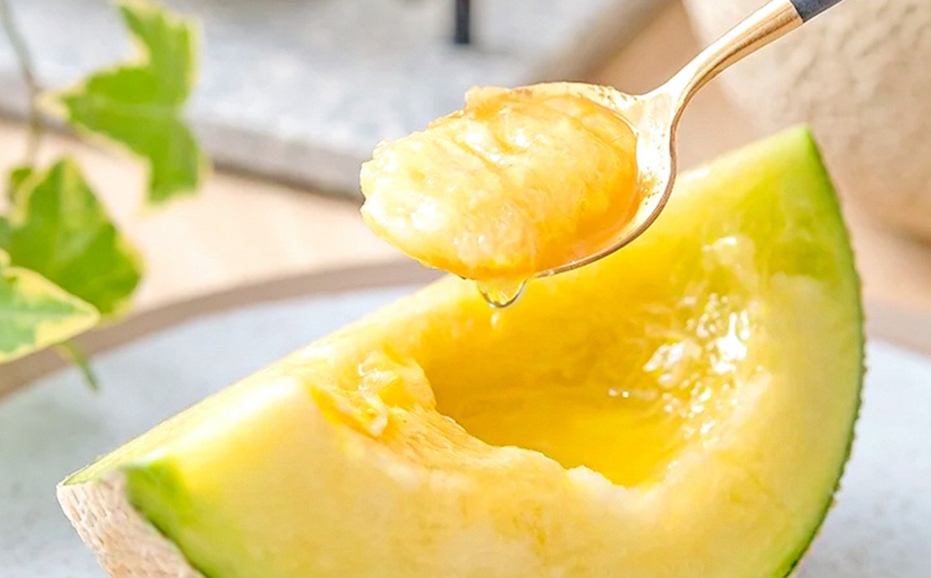 【9ヶ月定期便】静岡県産 高級アローマメロン 小玉 1玉（約0.9kg以上）