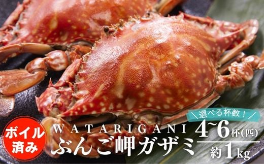 
            【先行予約】 ぶんご岬ガザミ （蒸し） 合計 約1kg 選べる杯数【4杯／5杯／6杯】 養殖 ワタリガニ ガザミ ※雌雄無選別 冷凍配送 直送 カニ 蟹
          