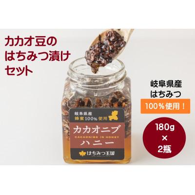 ふるさと納税 山県市 【贈り物にも】岐阜県産はちみつを使ったカカオニブハニー180g×2瓶&lt;はちみつ王国&gt;【岐阜県山県市】