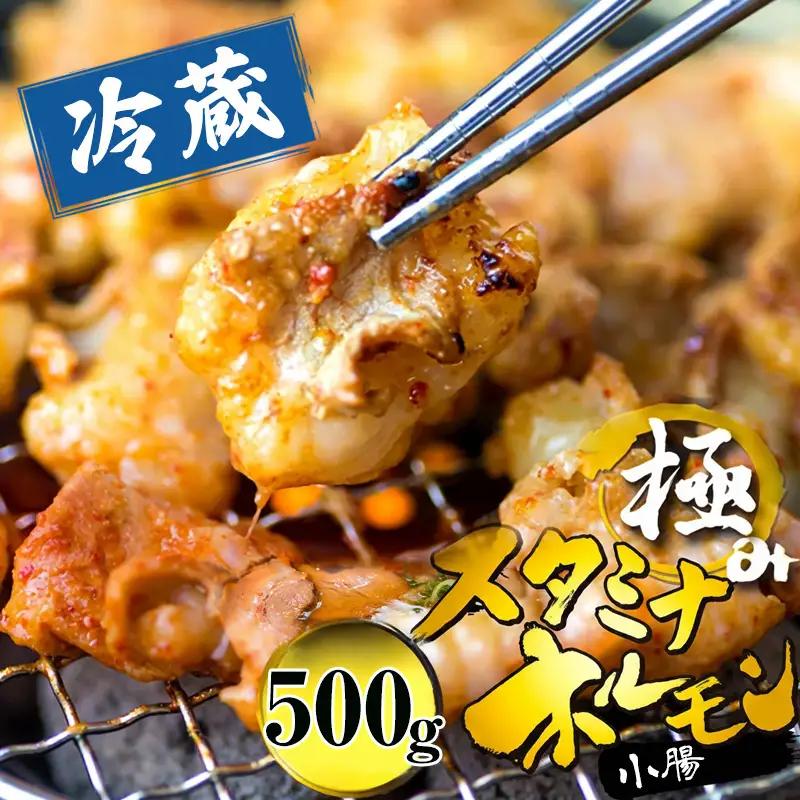 国産 極みのスタミナホルモン 小腸 タレ揉み 500g ： ホルモン 国産ホルモン
