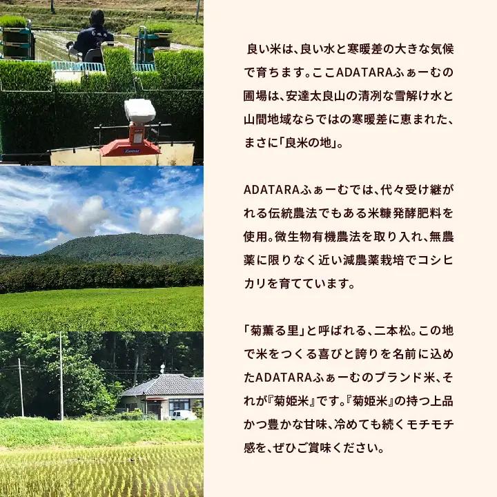米 もち米5kg（ 高級ブランドもち米こがねもち使用）【ADATARAふぁーむ】