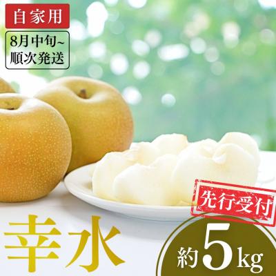 ふるさと納税 三条市 先行受付 和梨 幸水 自家用 約5kg 新潟県 三条市産 梨 [小林農園]【010P078】