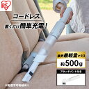 【ふるさと納税】掃除機 コードレス アイリスオーヤマ 充電式ハンディクリーナー HCD-21-W 車内清掃 クリーナー ハンディークリーナー 充電式 充電タイプ 掃除 そうじ お掃除 コンパクト 家電 電化製品　【 ハンディ掃除機 】