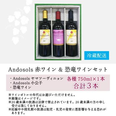 ふるさと納税 大野市 Andosols赤ワイン&恐竜ワインセット |  | 03