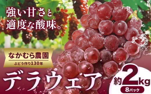 デラウェア《大好評につき受付延長！！》デラウェア 選べる 約2kg(8パック) 有限会社なかむら農園《2025年6月上旬-7月下旬頃出荷》大阪府 羽曳野市 ぶどう ブドウ 葡萄 送料無料
