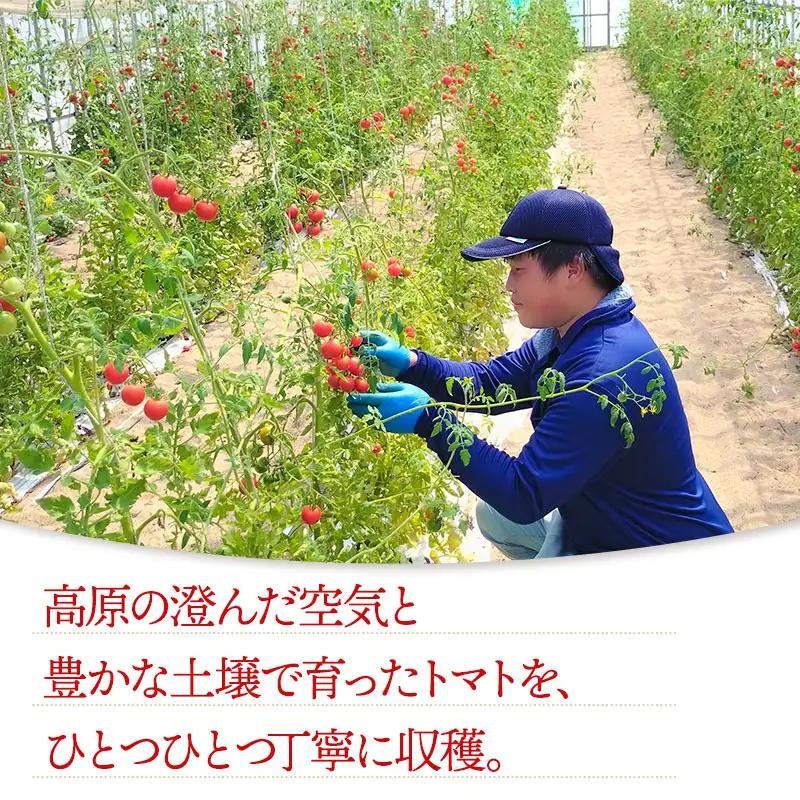 【無塩・無糖】窪畑トマト100％ジュース　1000ml × 6本　K-7240　株式会社山本組