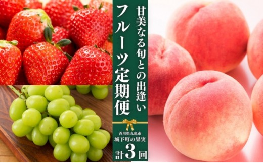 フルーツ 定期便 3回　旬に出逢う城下町の果実 定期配送 いちご 桃 シャインマスカット 果実 果物 ぶどう 3回 (36,000円)