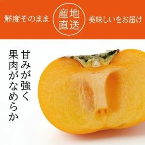 SA2952　酒田の秋の味覚　あまくて美味しい庄内柿(種なし柿) 秀品　約3kg(18～22玉前後) 