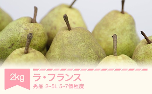 ラ・フランス 秀品 2～5L 約2kg (5~7個入り) 2026年産 令和8年産 nf-lasyx2