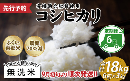 【無洗米】【定期便6ヶ月連続】令和6年産 新米 ふくい東郷米 特別栽培米 農薬70％減 コシヒカリ 3kg×6ヶ月 合計18kg[E-020022_04]