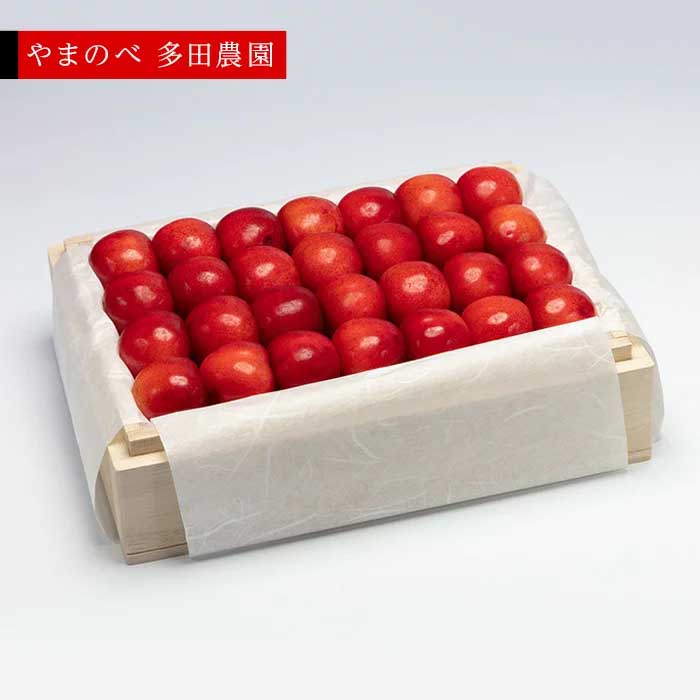 【ふるさと納税】≪2026年 先行予約≫さくらんぼ 特選紅秀峰 桐箱詰 500g「やまのべ多田農園」 F2Y-1389