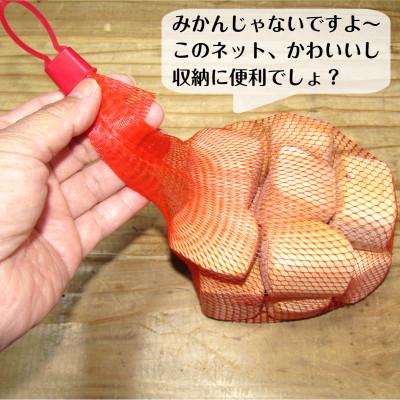 ふるさと納税 泉佐野市 手作り国産桧製、積みづらい積み木「積めますか?」 099H2101 |  | 03