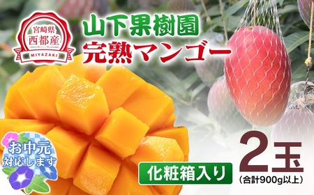 【お中元】山下果樹園　完熟マンゴー2玉　合計900g＜1.8-17＞