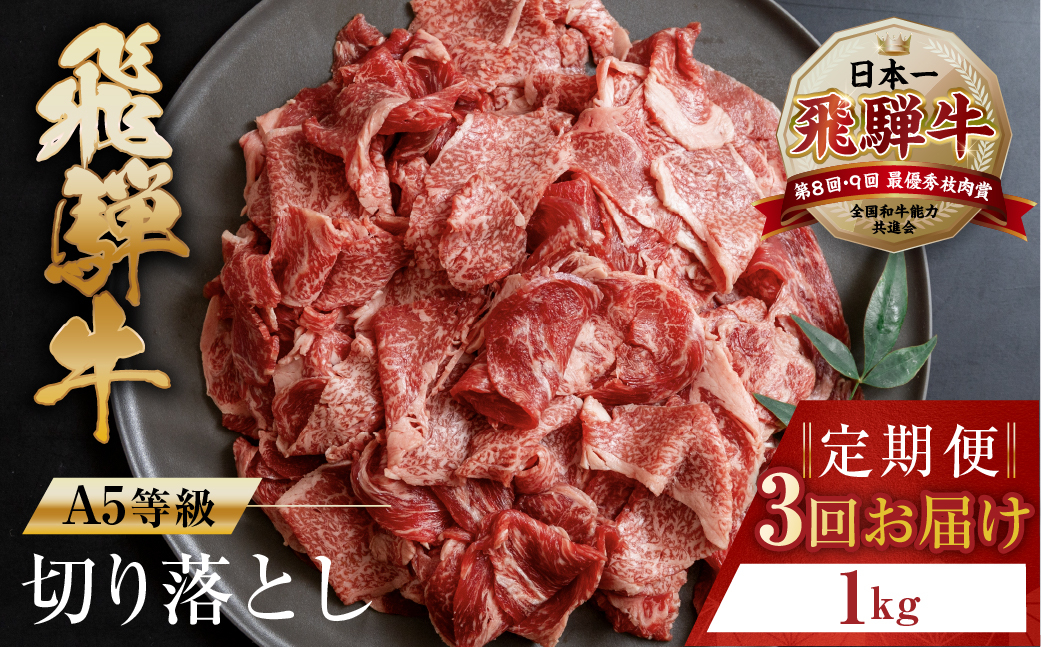 
トキノ屋食品 A5等級 飛騨牛切り落とし 1kg 3回お届け定期便[ mt411] 牛肉 肉 和牛 国産牛 肉 焼肉 すき焼き a5 不揃い 小分け 冷凍 日付指定 トキノ屋食品 本巣市 のし対応可
