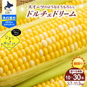 【ふるさと納税】【 2025年分 先行予約 】 とうもろこし ドルチェドリーム ( 本数が選べる : 10本 20本 30本 ) /スイートコーン バイカラー コーン とうきび 野菜 送料無料 お取り寄せ 北海道 十勝 芽室町