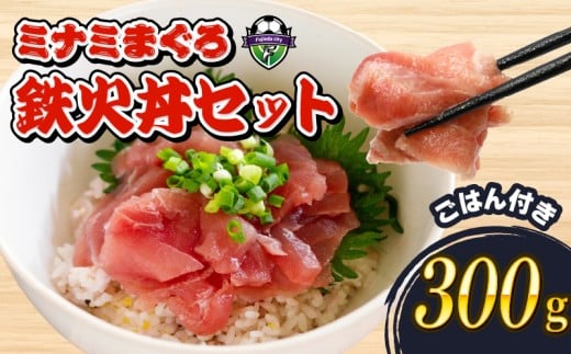 ミナミ マグロ 鉄火丼 セット 中トロ 切り落とし 丼 セット 南鮪 南まぐろ ミナミマグロ ごはん 加納商店 マグロ丼 家庭用 おすすめ ご飯 静岡県 藤枝市