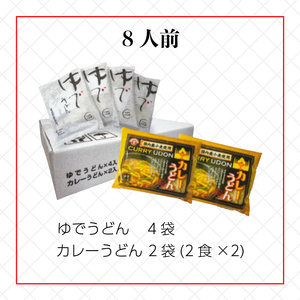 さぬきうどん ＆ カレーうどん セット 8人前 出汁 スープ付き