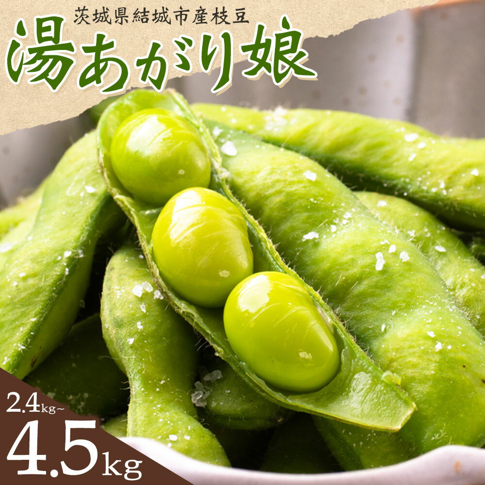 【ふるさと納税】先行予約 枝豆 えだまめ 「湯あがり娘」選べる 2.4kg（300g×8パック） 3kg 4.5kg （茶豆味）有限会社大嶋農園 《7月中旬-8月上旬頃出荷》 えだまめ 野菜 国産 甘み 香り 濃厚 つまみ ビールのおつまみ ビールのつまみ 【配送不可地域あり】